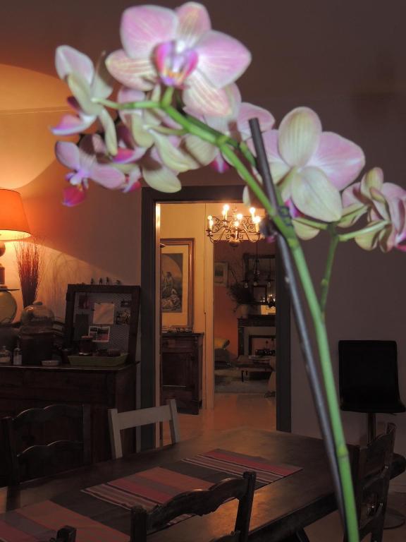 Chambres D'Hotes A Buglose Saint-Vincent-de-Paul  Εξωτερικό φωτογραφία
